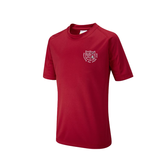 Barley Hill Primary School - Y10 Falcon Sports T-Shirt