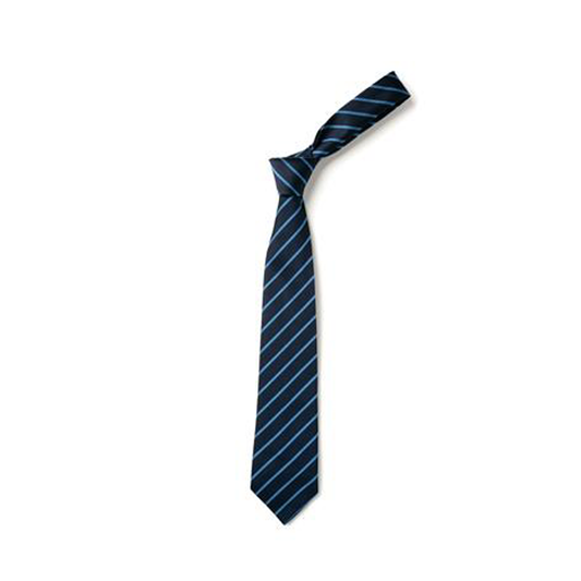 St Joseph's Catholic Primary School Thame- Tie - Standard