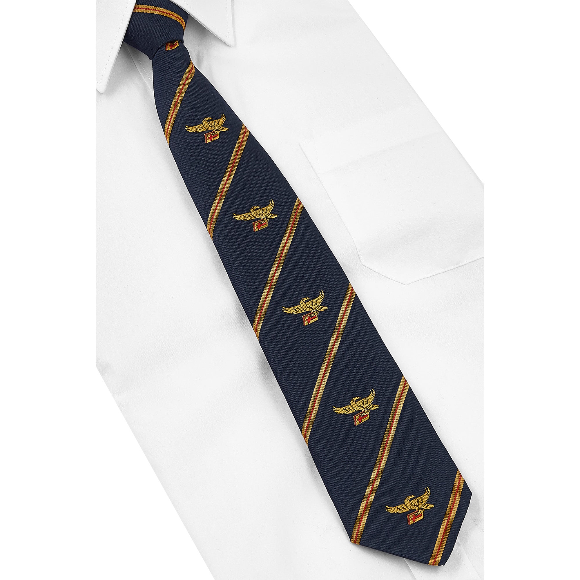 St John's Catholic Primary School - Tie - Standard – Earth Uniform