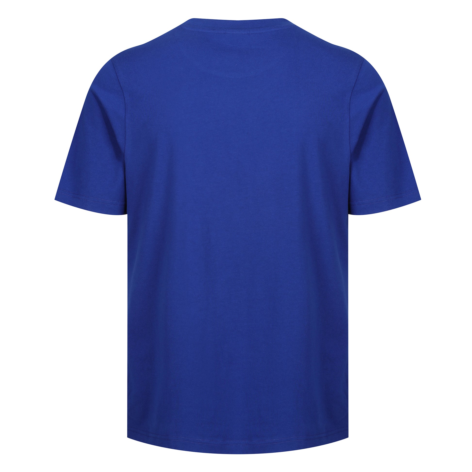 Royal Blue Unisex Cotton T Shirt Earth Uniform