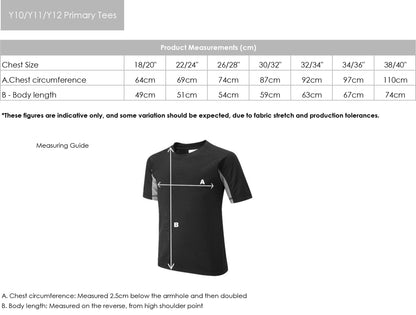 Dulwich Hamlet Primary School - Y10 Falcon Sports T-Shirt