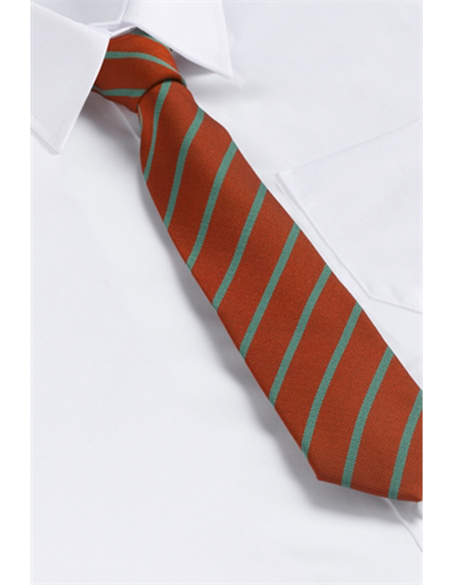 St George's Catholic Primary Voluntary Academy - Tie - Elastic (RG)